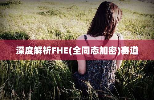 深度解析FHE(全同态加密)赛道