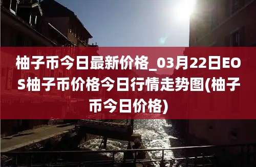 柚子币今日最新价格_03月22日EOS柚子币价格今日行情走势图(柚子币今日价格)