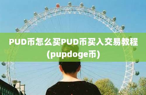 PUD币怎么买PUD币买入交易教程(pupdoge币)