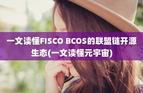 一文读懂FISCO BCOS的联盟链开源生态(一文读懂元宇宙)