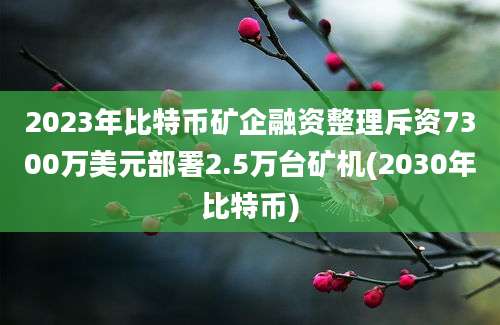 2023年比特币矿企融资整理斥资7300万美元部署2.5万台矿机(2030年比特币)