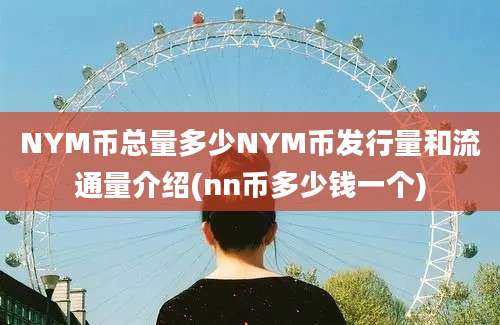 NYM币总量多少NYM币发行量和流通量介绍(nn币多少钱一个)