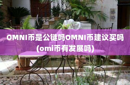 OMNI币是公链吗OMNI币建议买吗(omi币有发展吗)