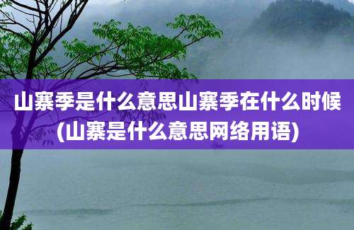 山寨季是什么意思山寨季在什么时候(山寨是什么意思网络用语)