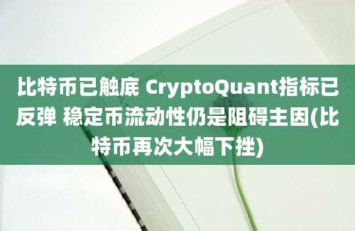 比特币已触底 CryptoQuant指标已反弹 稳定币流动性仍是阻碍主因(比特币再次大幅下挫)