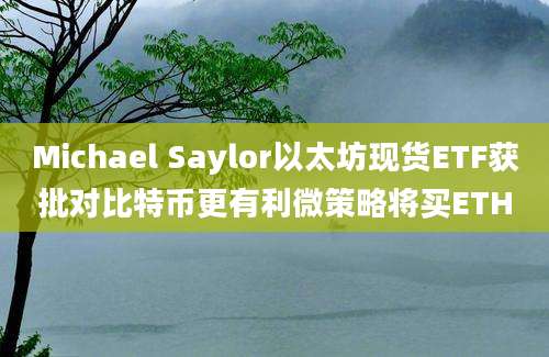 Michael Saylor以太坊现货ETF获批对比特币更有利微策略将买ETH