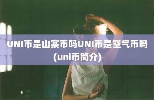 UNI币是山寨币吗UNI币是空气币吗(uni币简介)