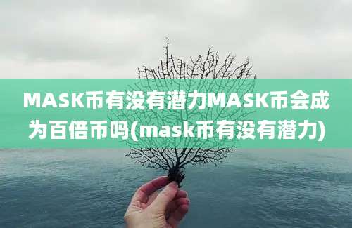 MASK币有没有潜力MASK币会成为百倍币吗(mask币有没有潜力)