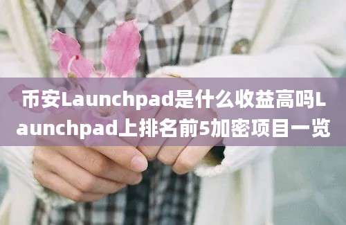 币安Launchpad是什么收益高吗Launchpad上排名前5加密项目一览