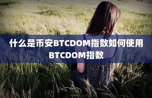 什么是币安BTCDOM指数如何使用BTCDOM指数