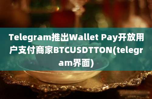 Telegram推出Wallet Pay开放用户支付商家BTCUSDTTON(telegram界面)