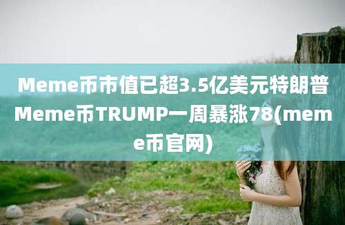 Meme币市值已超3.5亿美元特朗普Meme币TRUMP一周暴涨78(meme币官网)