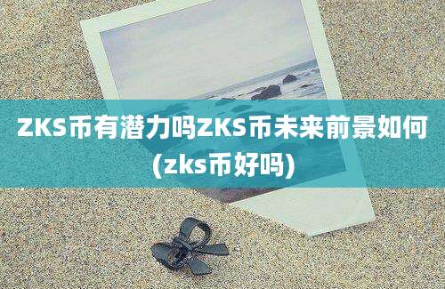 ZKS币有潜力吗ZKS币未来前景如何(zks币好吗)