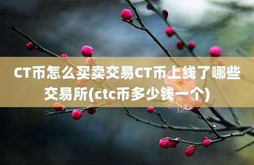 CT币怎么买卖交易CT币上线了哪些交易所(ctc币多少钱一个)