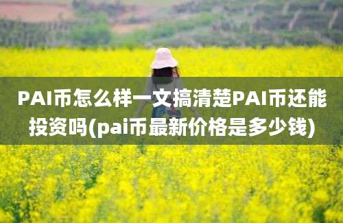 PAI币怎么样一文搞清楚PAI币还能投资吗(pai币最新价格是多少钱)