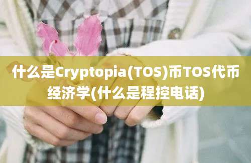 什么是Cryptopia(TOS)币TOS代币经济学(什么是程控电话)