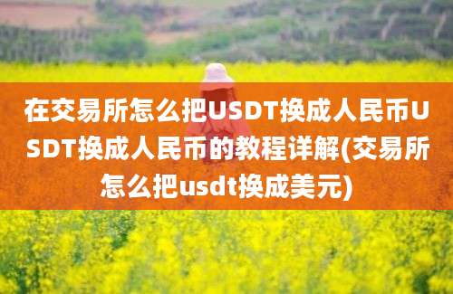 在交易所怎么把USDT换成人民币USDT换成人民币的教程详解(交易所怎么把usdt换成美元)