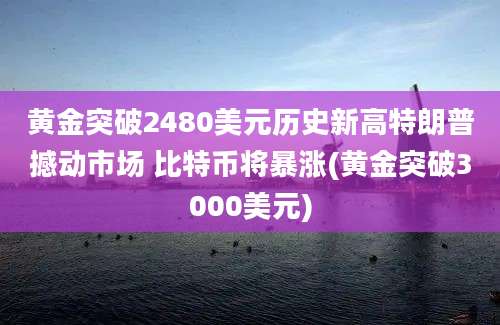 黄金突破2480美元历史新高特朗普撼动市场 比特币将暴涨(黄金突破3000美元)