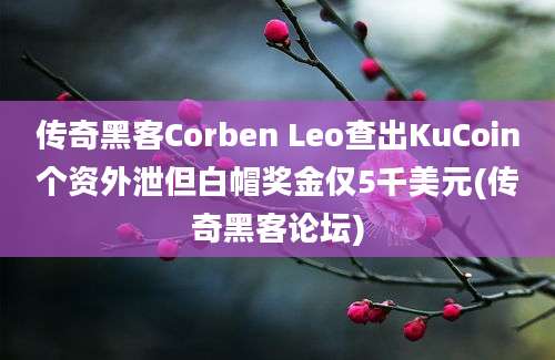 传奇黑客Corben Leo查出KuCoin个资外泄但白帽奖金仅5千美元(传奇黑客论坛)