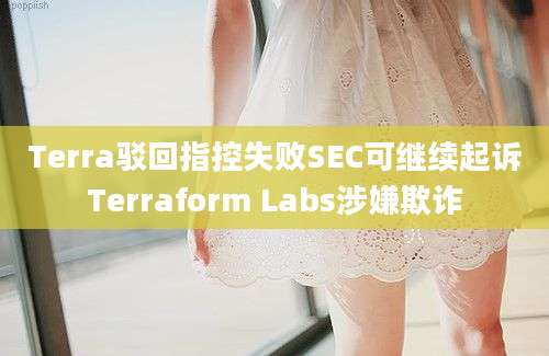 Terra驳回指控失败SEC可继续起诉Terraform Labs涉嫌欺诈