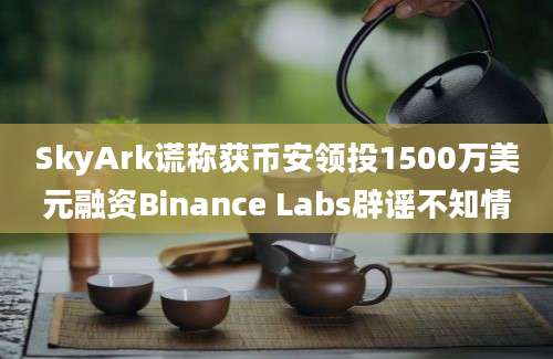 SkyArk谎称获币安领投1500万美元融资Binance Labs辟谣不知情