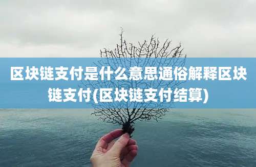 区块链支付是什么意思通俗解释区块链支付(区块链支付结算)