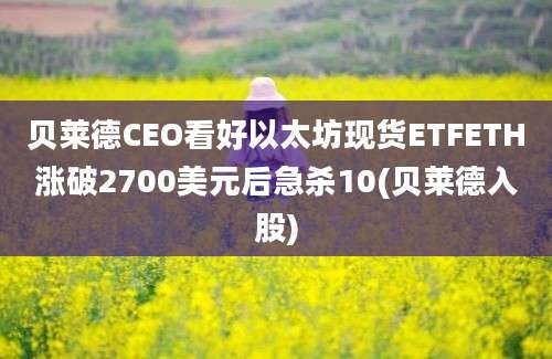 贝莱德CEO看好以太坊现货ETFETH涨破2700美元后急杀10(贝莱德入股)