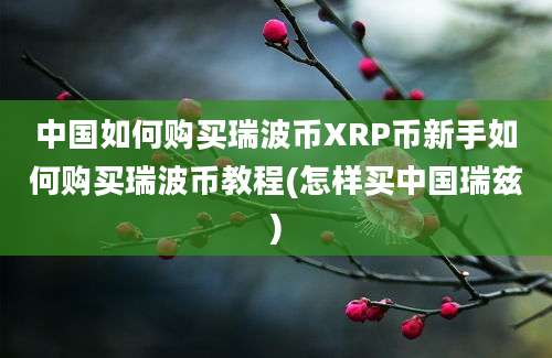 中国如何购买瑞波币XRP币新手如何购买瑞波币教程(怎样买中国瑞兹)