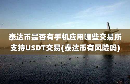 泰达币是否有手机应用哪些交易所支持USDT交易(泰达币有风险吗)