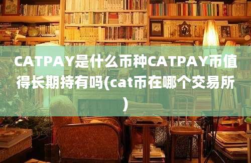 CATPAY是什么币种CATPAY币值得长期持有吗(cat币在哪个交易所)