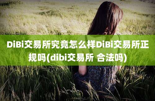 DiBi交易所究竟怎么样DiBi交易所正规吗(dibi交易所 合法吗)