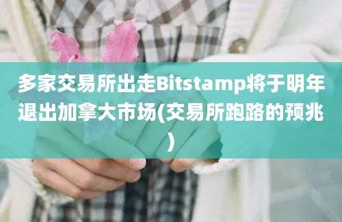 多家交易所出走Bitstamp将于明年退出加拿大市场(交易所跑路的预兆)