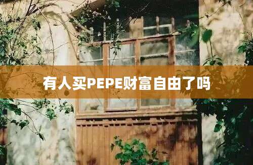 有人买PEPE财富自由了吗