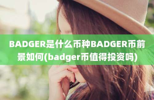 BADGER是什么币种BADGER币前景如何(badger币值得投资吗)