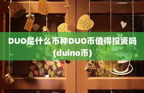 DUO是什么币种DUO币值得投资吗(duino币)