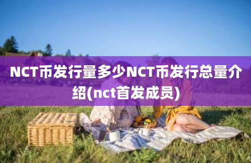 NCT币发行量多少NCT币发行总量介绍(nct首发成员)