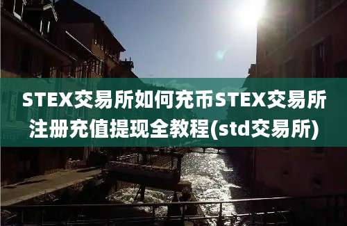 STEX交易所如何充币STEX交易所注册充值提现全教程(std交易所)