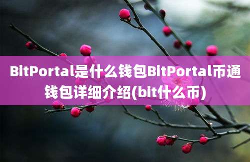 BitPortal是什么钱包BitPortal币通钱包详细介绍(bit什么币)