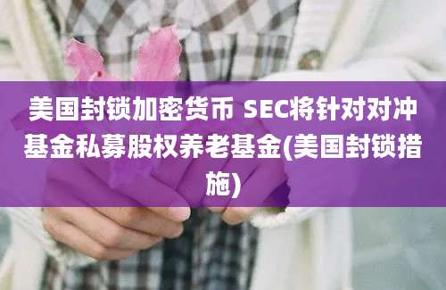 美国封锁加密货币 SEC将针对对冲基金私募股权养老基金(美国封锁措施)