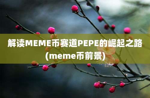 解读MEME币赛道PEPE的崛起之路(meme币前景)