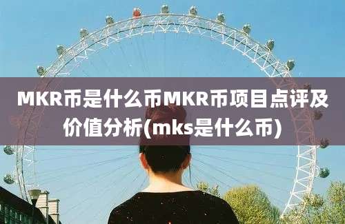 MKR币是什么币MKR币项目点评及价值分析(mks是什么币)