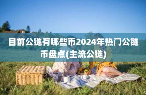 目前公链有哪些币2024年热门公链币盘点(主流公链)