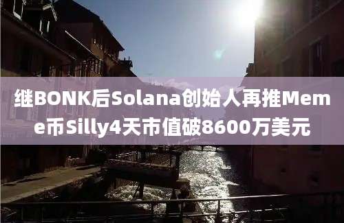 继BONK后Solana创始人再推Meme币Silly4天市值破8600万美元