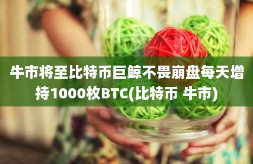 牛市将至比特币巨鲸不畏崩盘每天增持1000枚BTC(比特币 牛市)