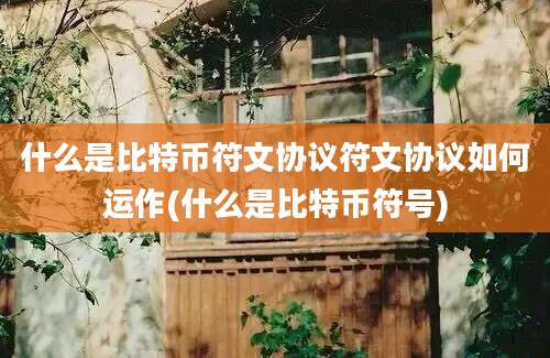 什么是比特币符文协议符文协议如何运作(什么是比特币符号)