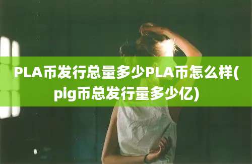 PLA币发行总量多少PLA币怎么样(pig币总发行量多少亿)