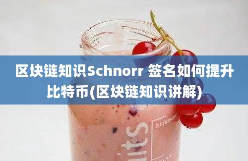 区块链知识Schnorr 签名如何提升比特币(区块链知识讲解)