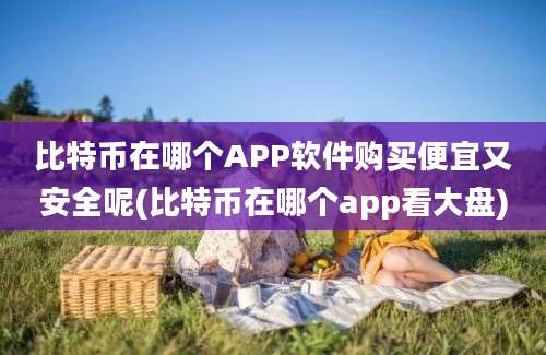 比特币在哪个APP软件购买便宜又安全呢(比特币在哪个app看大盘)