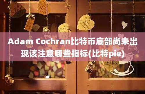 Adam Cochran比特币底部尚未出现该注意哪些指标(比特pie)