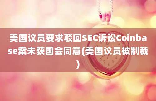 美国议员要求驳回SEC诉讼Coinbase案未获国会同意(美国议员被制裁)